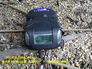 20111029トンボの水辺 地表