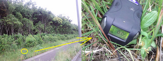 20120527佐脇浜埋立 北側00.jpg