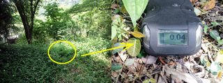 20120528多米峠豊橋側00.jpg